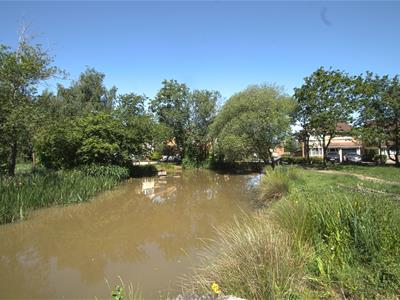 Picture 13